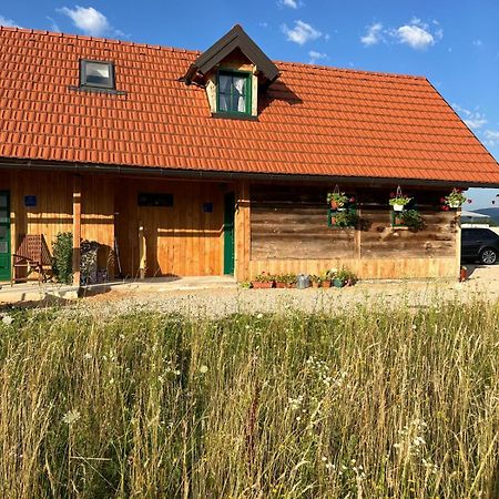 Wooden House Ante Self Check - In And Check - Out Apartamento Otočac Exterior foto